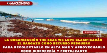 LA ORGANIZACIÓN THE SEAS WE LOVE CLASIFICARÁN EL SARGAZO COMO RECURSO PESQUERO PARA RECOLECTARLO EN ALTA MAR Y APROVECHARLO COMO BIOENERGÍA Y FERTILIZANTE
