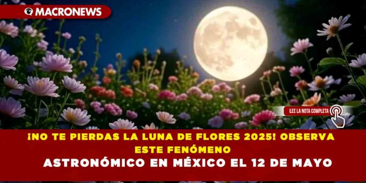 ¡NO TE PIERDAS LA LUNA DE FLORES 2025! OBSERVA ESTE FENÓMENO ASTRONÓMICO EN MÉXICO EL 12 DE MAYO