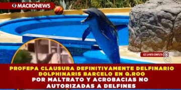 PROFEPA CLAUSURA DEFINITIVAMENTE DELFINARIO DOLPHINARIS BARCELO EN Q.ROO POR MALTRATO Y ACROBACIAS NO AUTORIZADAS A DELFINES