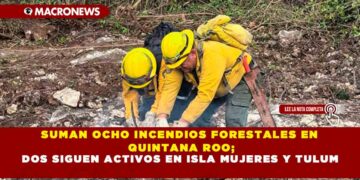 SUMAN OCHO INCENDIOS FORESTALES EN QUINTANA ROO; DOS SIGUEN ACTIVOS EN ISLA MUJERES Y TULUM