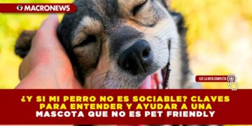 ¿Y SI MI PERRO NO ES SOCIABLE? CLAVES PARA ENTENDER Y AYUDAR A UNA MASCOTA QUE NO ES PET FRIENDLY