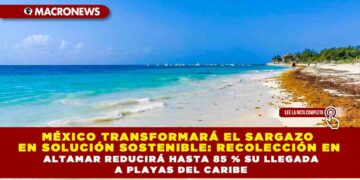 MÉXICO TRANSFORMARÁ EL SARGAZO EN SOLUCIÓN SOSTENIBLE: RECOLECCIÓN EN ALTAMAR REDUCIRÁ HASTA 85 % SU LLEGADA A PLAYAS DEL CARIBE