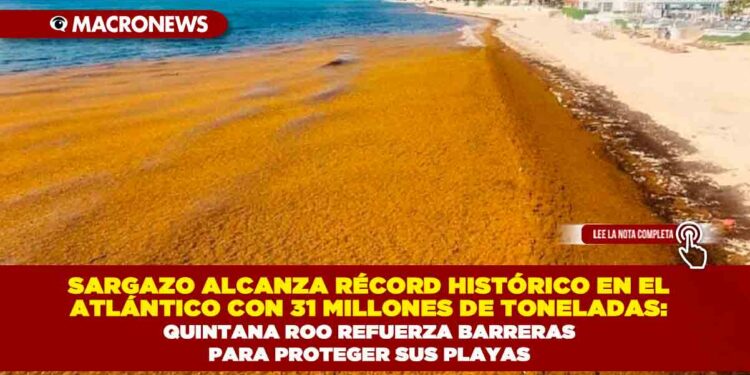 SARGAZO ALCANZA RÉCORD HISTÓRICO EN EL ATLÁNTICO CON 31 MILLONES DE TONELADAS: QUINTANA ROO REFUERZA BARRERAS PARA PROTEGER SUS PLAYAS