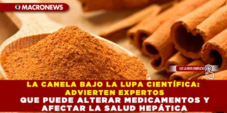LA CANELA BAJO LA LUPA CIENTÍFICA: ADVIERTEN EXPERTOS QUE PUEDE ALTERAR MEDICAMENTOS Y AFECTAR LA SALUD HEPÁTICA