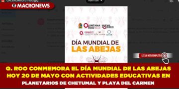 QUINTANA ROO CONMEMORA EL DÍA MUNDIAL DE LAS ABEJAS HOY 20 DE MAYO CON ACTIVIDADES EDUCATIVAS EN PLANETARIOS DE CHETUMAL Y PLAYA DEL CARMEN