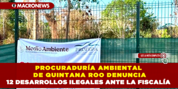 PROCURADURÍA AMBIENTAL DE QUINTANA ROO DENUNCIA 12 DESARROLLOS ILEGALES ANTE LA FISCALÍA