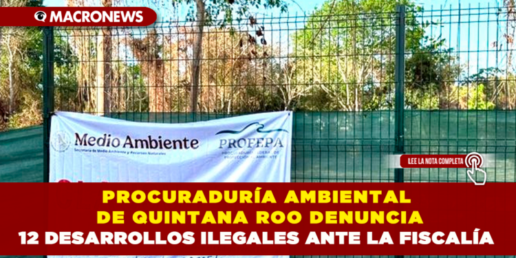 PROCURADURÍA AMBIENTAL DE QUINTANA ROO DENUNCIA 12 DESARROLLOS ILEGALES ANTE LA FISCALÍA