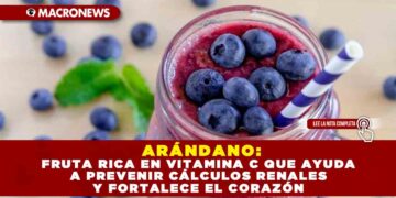 ARÁNDANO: FRUTA RICA EN VITAMINA C QUE AYUDA A PREVENIR CÁLCULOS RENALES Y FORTALECE EL CORAZÓN