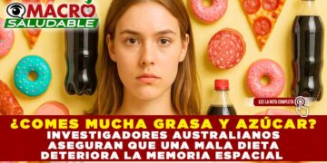 ¿COMES MUCHA GRASA Y AZÚCAR? INVESTIGADORES AUSTRALIANOS ASEGURAN QUE UNA MALA DIETA DETERIORA LA MEMORIA ESPACIAL
