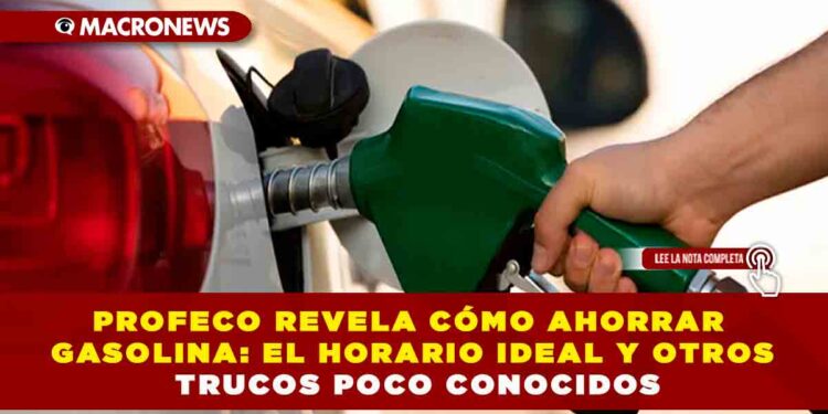 PROFECO REVELA CÓMO AHORRAR GASOLINA: EL HORARIO IDEAL Y OTROS TRUCOS POCO CONOCIDOS