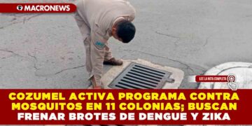COZUMEL ACTIVA PROGRAMA CONTRA MOSQUITOS EN 11 COLONIAS; BUSCAN FRENAR BROTES DE DENGUE Y ZIKA