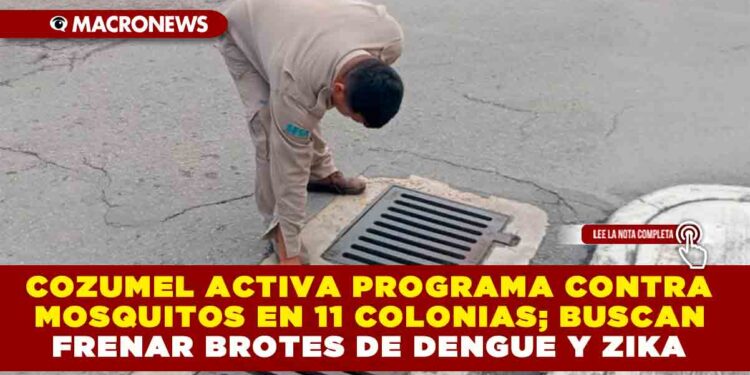 COZUMEL ACTIVA PROGRAMA CONTRA MOSQUITOS EN 11 COLONIAS; BUSCAN FRENAR BROTES DE DENGUE Y ZIKA