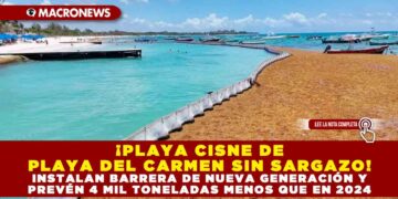 ¡PLAYA CISNE DE PLAYA DEL CARMEN SIN SARGAZO! INSTALAN BARRERA DE NUEVA GENERACIÓN Y PREVÉN 4 MIL TONELADAS MENOS QUE EN 2024