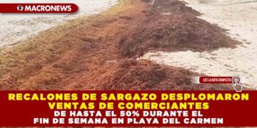 RECALONES DE SARGAZO DESPLOMARON VENTAS DE COMERCIANTES DE HASTA EL 50% DURANTE EL FIN DE SEMANA EN PLAYA DEL CARMEN