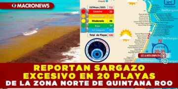 REPORTAN SARGAZO EXCESIVO EN 20 PLAYAS DE LA ZONA NORTE DE QUINTANA ROO