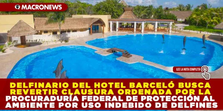 DELFINARIO DEL HOTEL BARCELÓ BUSCA REVERTIR CLAUSURA ORDENADA POR LA PROCURADURÍA FEDERAL DE PROTECCIÓN AL AMBIENTE POR USO INDEBIDO DE DELFINES