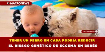 TENER UN PERRO EN CASA PODRÍA REDUCIR EL RIESGO GENÉTICO DE ECCEMA EN BEBÉS