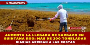 AUMENTA LA LLEGADA DE SARGAZO EN QUINTANA ROO: MÁS DE 200 TONELADAS DIARIAS ARRIBAN A LAS COSTAS