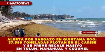 ALERTA POR SARGAZO EN QUINTANA ROO: 37,599 TONELADAS FLOTAN EN EL CARIBE Y SE PREVÉ RECALE MASIVO EN TULUM, MAHAHUAL Y COZUMEL