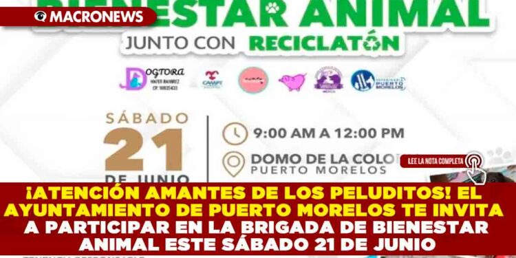 ¡ATENCIÓN AMANTES DE LOS PELUDITOS! EL AYUNTAMIENTO DE PUERTO MORELOS TE INVITA A PARTICIPAR EN LA BRIGADA DE BIENESTAR ANIMAL ESTE SÁBADO 21 DE JUNIO