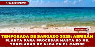 TEMPORADA DE SARGAZO 2025: ABRIRÁN PLANTA PARA PROCESAR HASTA 60 MIL TONELADAS DE ALGA EN EL CARIBE