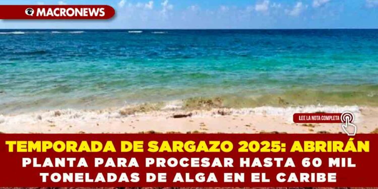 TEMPORADA DE SARGAZO 2025: ABRIRÁN PLANTA PARA PROCESAR HASTA 60 MIL TONELADAS DE ALGA EN EL CARIBE
