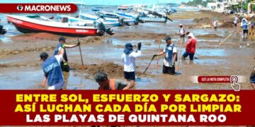 ENTRE SOL, ESFUERZO Y SARGAZO: ASÍ LUCHAN CADA DÍA POR LIMPIAR LAS PLAYAS DE QUINTANA ROO