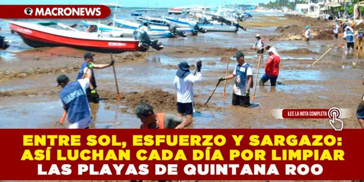 ENTRE SOL, ESFUERZO Y SARGAZO: ASÍ LUCHAN CADA DÍA POR LIMPIAR LAS PLAYAS DE QUINTANA ROO