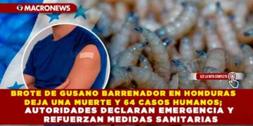 BROTE DE GUSANO BARRENADOR EN HONDURAS DEJA UNA MUERTE Y 64 CASOS HUMANOS; AUTORIDADES DECLARAN EMERGENCIA Y REFUERZAN MEDIDAS SANITARIAS
