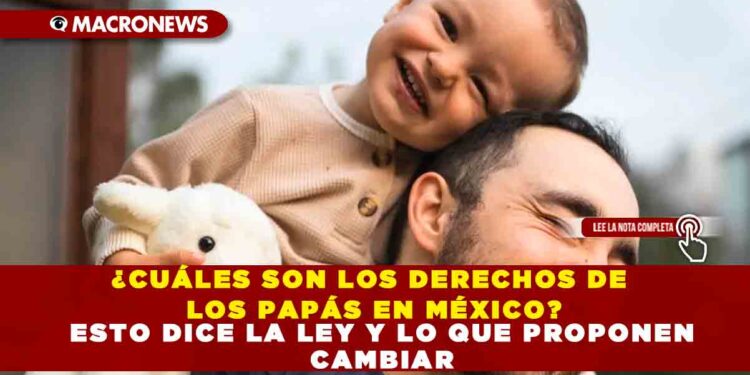 ¿CUÁLES SON LOS DERECHOS DE LOS PAPÁS EN MÉXICO? ESTO DICE LA LEY Y LO QUE PROPONEN CAMBIAR