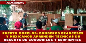 INTERCAMBIO INTERNACIONAL EN PUERTO MORELOS: BOMBEROS FRANCESES Y MEXICANOS APRENDEN TÉCNICAS DE RESCATE DE COCODRILOS Y SERPIENTES