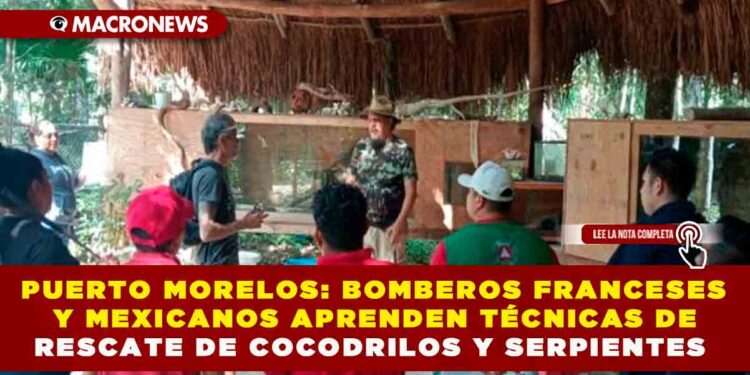 INTERCAMBIO INTERNACIONAL EN PUERTO MORELOS: BOMBEROS FRANCESES Y MEXICANOS APRENDEN TÉCNICAS DE RESCATE DE COCODRILOS Y SERPIENTES