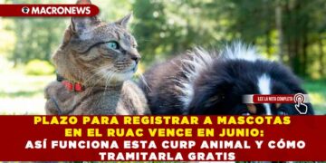 PLAZO PARA REGISTRAR A MASCOTAS EN EL RUAC VENCE EN JUNIO: ASÍ FUNCIONA ESTA CURP ANIMAL Y CÓMO TRAMITARLA GRATIS