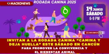 INVITAN A LA RODADA CANINA “CAMINA Y DEJA HUELLA” ESTE SÁBADO EN CANCÚN PARA PROMOVER LA CONVIVENCIA Y EL BIENESTAR ANIMAL