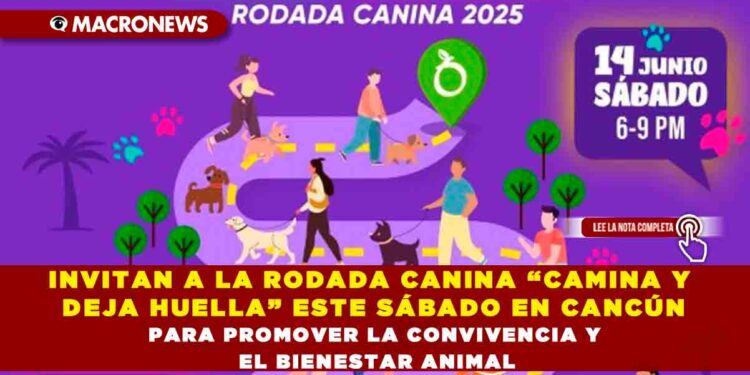 INVITAN A LA RODADA CANINA “CAMINA Y DEJA HUELLA” ESTE SÁBADO EN CANCÚN PARA PROMOVER LA CONVIVENCIA Y EL BIENESTAR ANIMAL