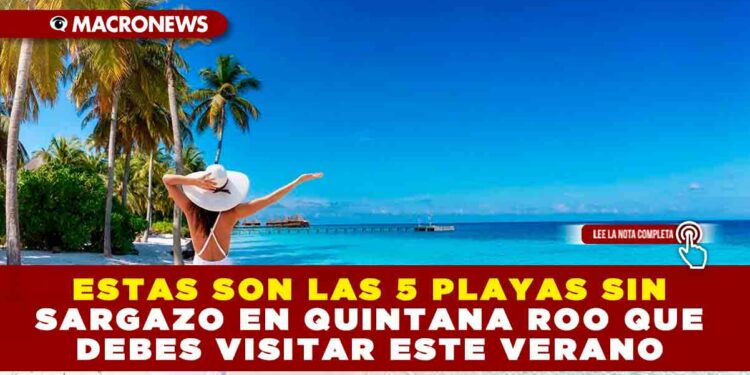 ESTAS SON LAS 5 PLAYAS SIN SARGAZO EN QUINTANA ROO QUE DEBES VISITAR ESTE VERANO