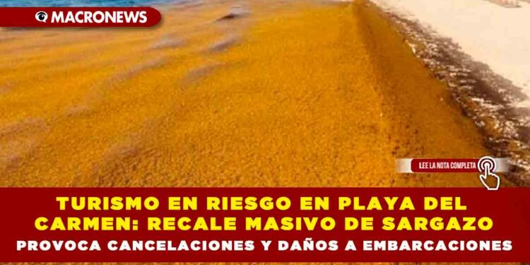 TURISMO EN RIESGO EN PLAYA DEL CARMEN: RECALE MASIVO DE SARGAZO PROVOCA CANCELACIONES Y DAÑOS A EMBARCACIONES