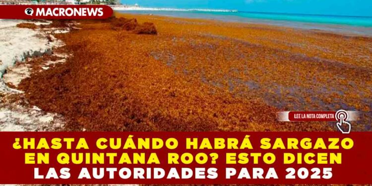 ¿HASTA CUÁNDO HABRÁ SARGAZO EN QUINTANA ROO? ESTO DICEN LAS AUTORIDADES PARA 2025