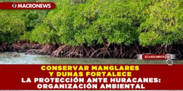 CONSERVAR MANGLARES Y DUNAS FORTALECE LA PROTECCIÓN ANTE HURACANES: ORGANIZACIÓN AMBIENTAL
