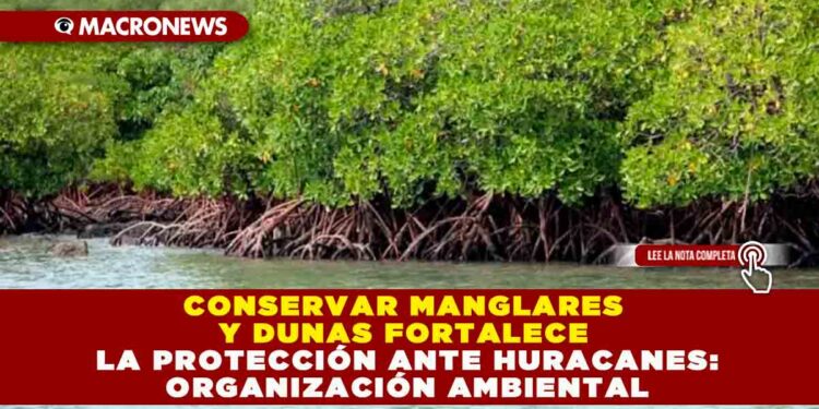 CONSERVAR MANGLARES Y DUNAS FORTALECE LA PROTECCIÓN ANTE HURACANES: ORGANIZACIÓN AMBIENTAL