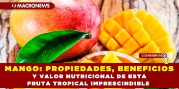 MANGO: PROPIEDADES, BENEFICIOS Y VALOR NUTRICIONAL DE ESTA FRUTA TROPICAL IMPRESCINDIBLE