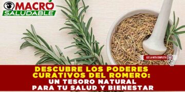 DESCUBRE LOS PODERES CURATIVOS DEL ROMERO: UN TESORO NATURAL PARA TU SALUD Y BIENESTAR