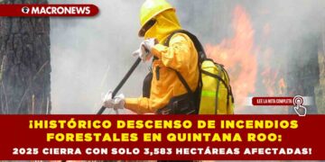 ¡HISTÓRICO DESCENSO DE INCENDIOS FORESTALES EN QUINTANA ROO: 2025 CIERRA CON SOLO 3,583 HECTÁREAS AFECTADAS!