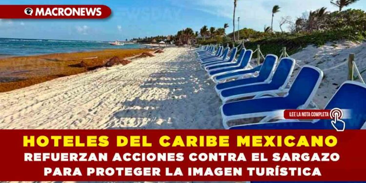HOTELES DEL CARIBE MEXICANO REFUERZAN COMBATE AL SARGAZO: EN TULUM RETIRAN MÁS DEL 60% Y MANTIENEN PLAYAS LIMPIAS EN COORDINACIÓN CON AUTORIDADES