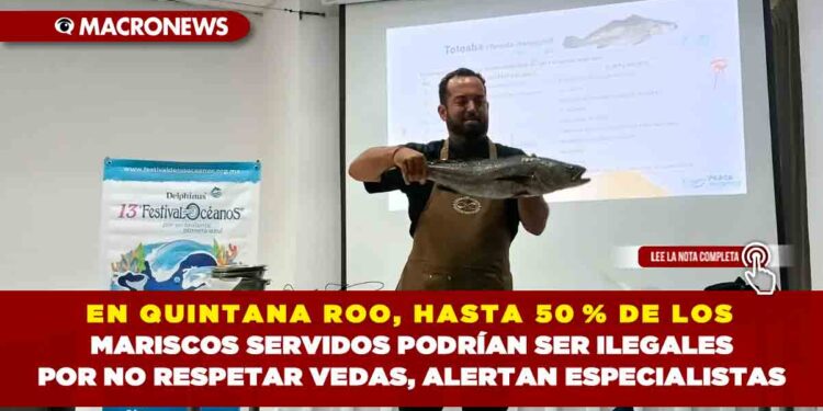 EN QUINTANA ROO, HASTA 50 % DE LOS MARISCOS SERVIDOS PODRÍAN SER ILEGALES POR NO RESPETAR VEDAS, ALERTAN ESPECIALISTAS