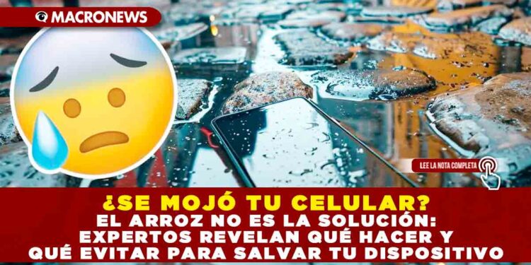 ¿SE MOJÓ TU CELULAR? EL ARROZ NO ES LA SOLUCIÓN: EXPERTOS REVELAN QUÉ HACER Y QUÉ EVITAR PARA SALVAR TU DISPOSITIVO