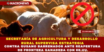 SECRETARÍA DE AGRICULTURA Y DESARROLLO RURAL SUPERVISA ESTRATEGIA CONTRA GUSANO BARRENADOR ANTE REAPERTURA DE FRONTERA GANADERA CON EE.UU.