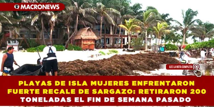 PLAYAS DE ISLA MUJERES ENFRENTARON FUERTE RECALE DE SARGAZO: RETIRARON 200 TONELADAS EL FIN DE SEMANA PASADO