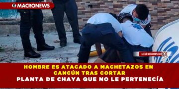 HOMBRE ES ATACADO A MACHETAZOS EN CANCÚN TRAS CORTAR PLANTA DE CHAYA QUE NO LE PERTENECÍA