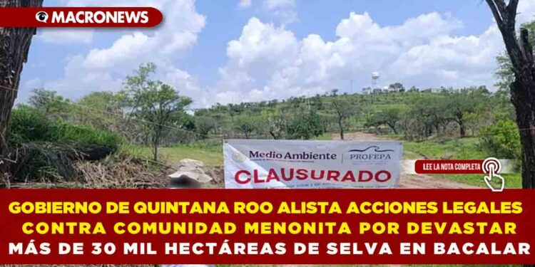 GOBIERNO DE QUINTANA ROO ALISTA ACCIONES LEGALES CONTRA COMUNIDAD MENONITA POR DEVASTAR MÁS DE 30 MIL HECTÁREAS DE SELVA EN BACALAR